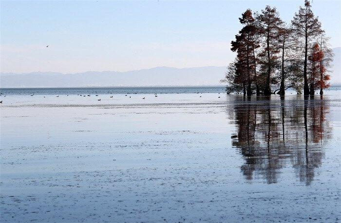 洱海景致 杨峥 摄