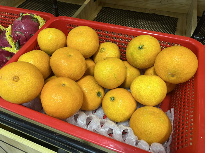 水果店内刚到货的爱媛。
