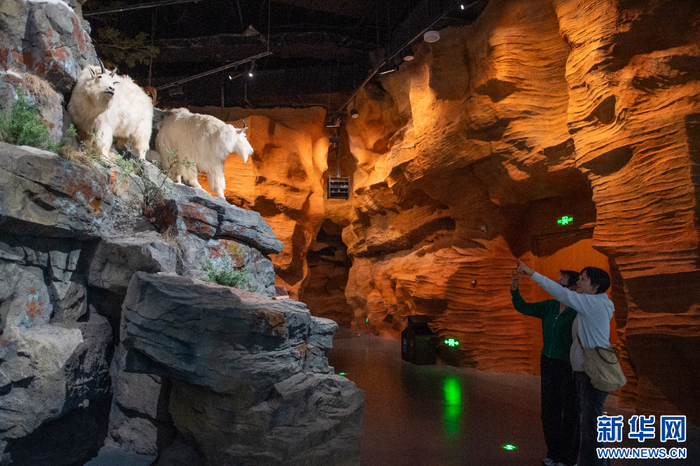   游客在康巴什自然博物馆参观游览。新华网发（王晓博 摄）