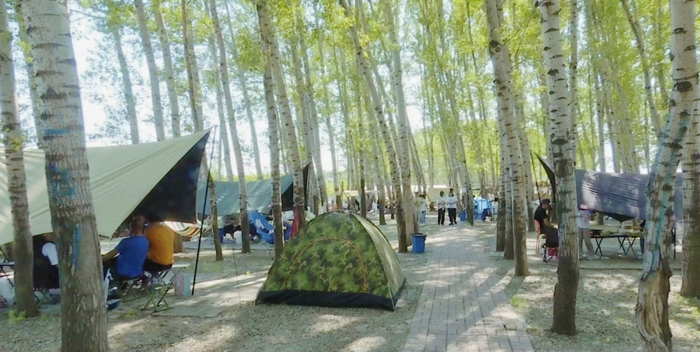 一隔四季野奢营地