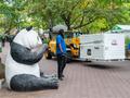 Two giant pandas from China arrive in Washington, DC