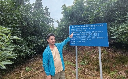 孟连县娜允镇南雅村牛油果种植示范基地的展示牌。