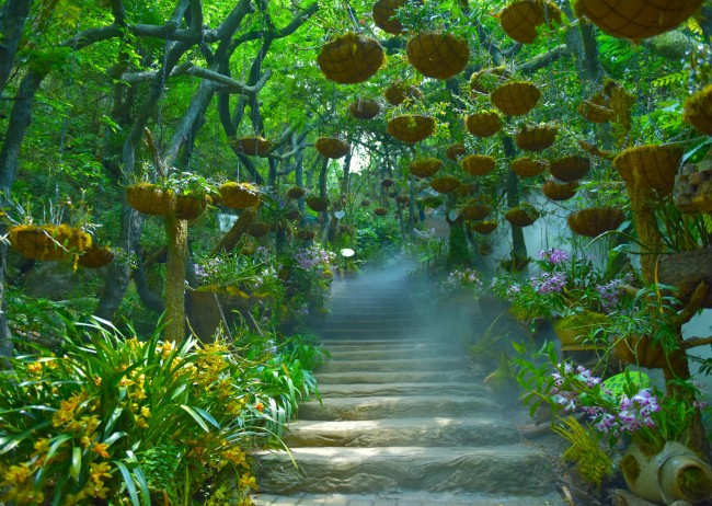 六郎城·仙草秘境景区。广南县委宣传部 供图