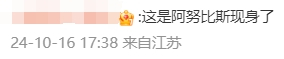还网友则分享了一段视频，“被眼前这一幕震撼到了，实拍土狗是怎么一步一步跑到金字塔顶🔝的，原来狗也可以这么励志”