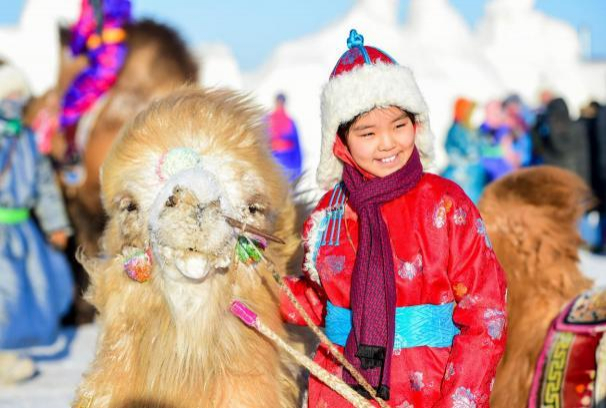 2018年1月9日，苏尼特右旗举办第12届骆驼文化节。新华社记者 连振 摄
