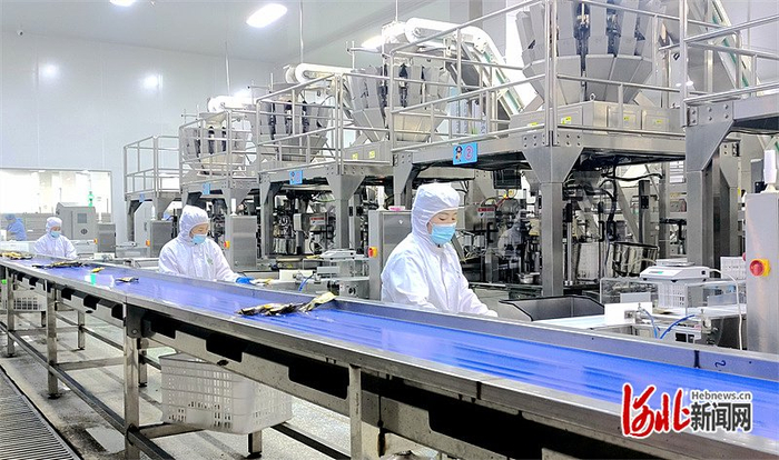 9月19日，在青龙五指山村秦皇岛市百峰公司宽敞整洁的生产车间里，工作人员正在生产熟板栗仁产品。河北日报记者 曹智摄
