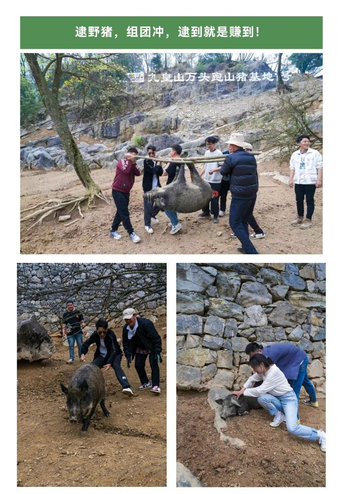 　　 图为景区公众号宣传图片。