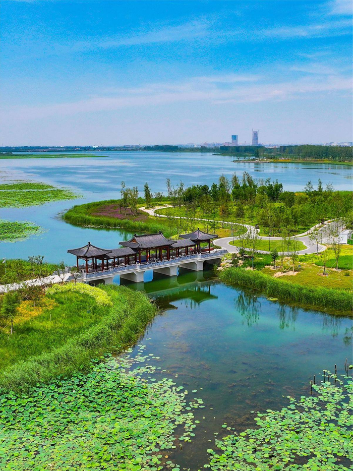 近日，无人机航拍河北雄安新区白洋淀燕南堤景区。（河北日报记者 耿辉 摄）