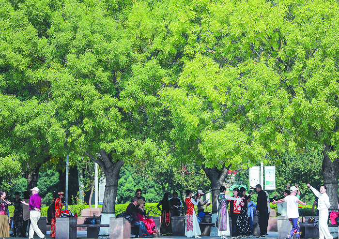 图为市民在市人民公园游玩休闲。