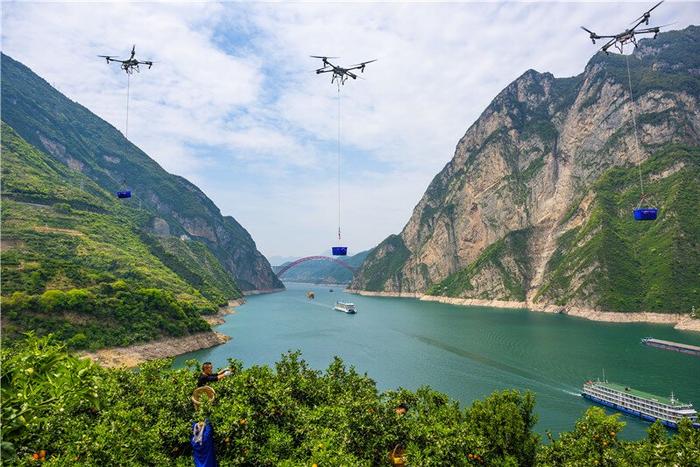 三峡库区湖北省宜昌市秭归县是脐橙种植大县 郑家裕 摄