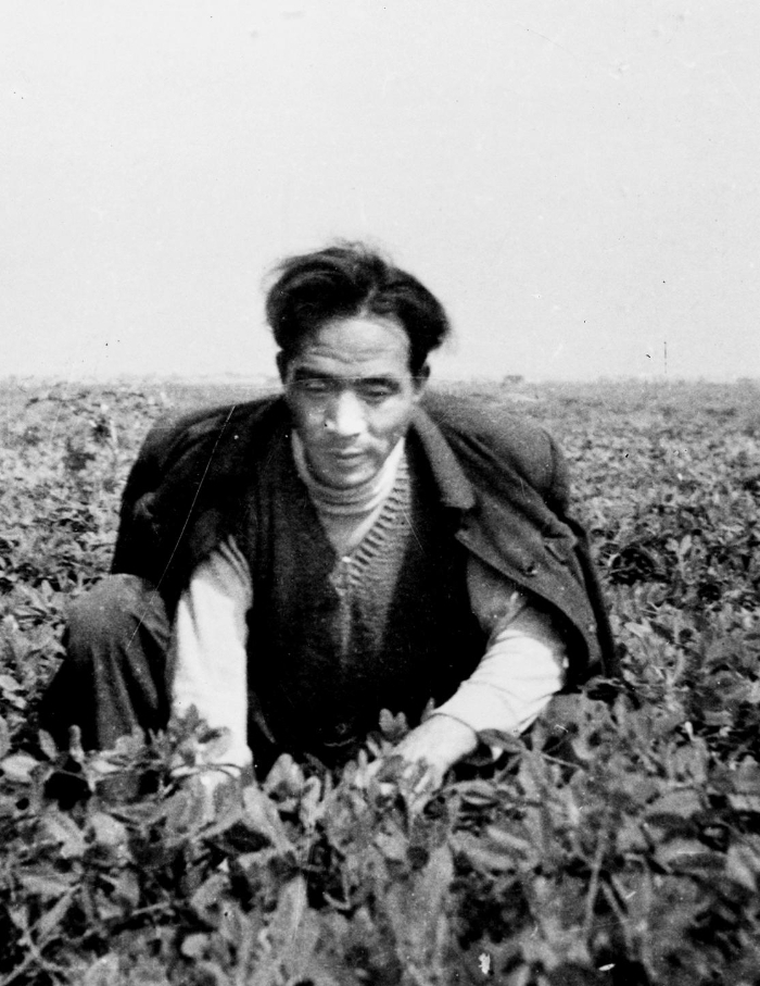  在兰考期间，焦裕禄在田间劳动的情景。