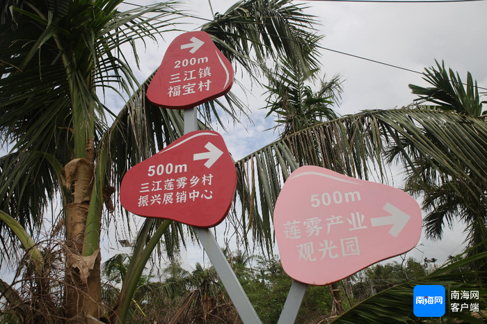福宝村路边的指示牌。记者 王威 摄