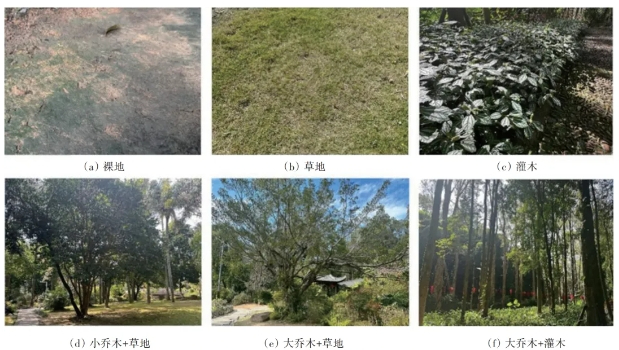 图1 福州森林公园6种常见植被空间配置