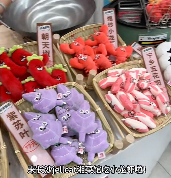 网友分享的“长沙jellycat”