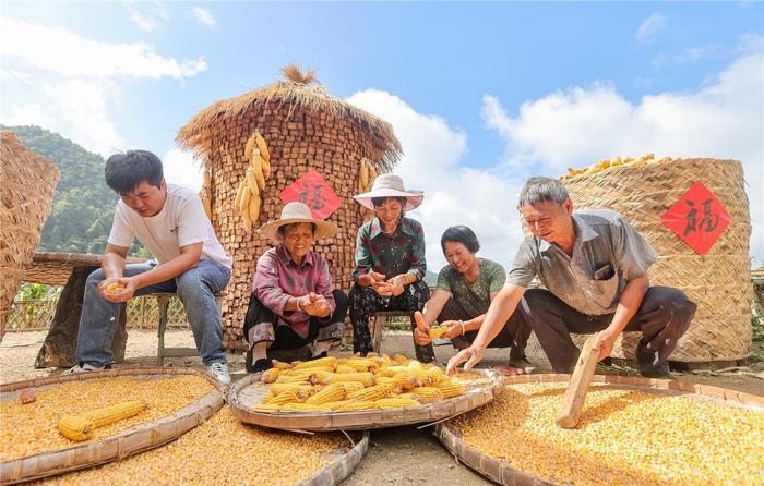 黄山市歙县深渡镇阳产村，村民在晒场上晾晒农作物。（资料图片）本报通讯员 郑 宏 摄