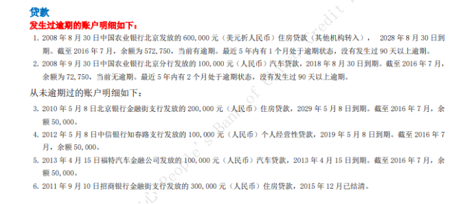图为中国人民银行征信中心官网公示的个人信用报告模版