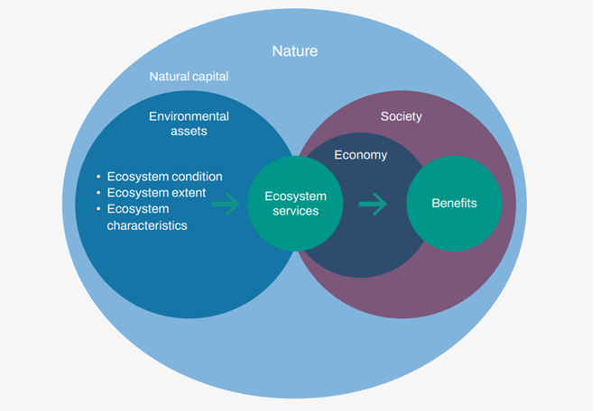图1 自然、商业和社会（摘自《自然相关问题的识别和评估指南：LEAP方法》）