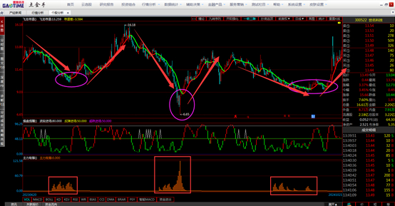 数据来源：港澳资讯点金手
