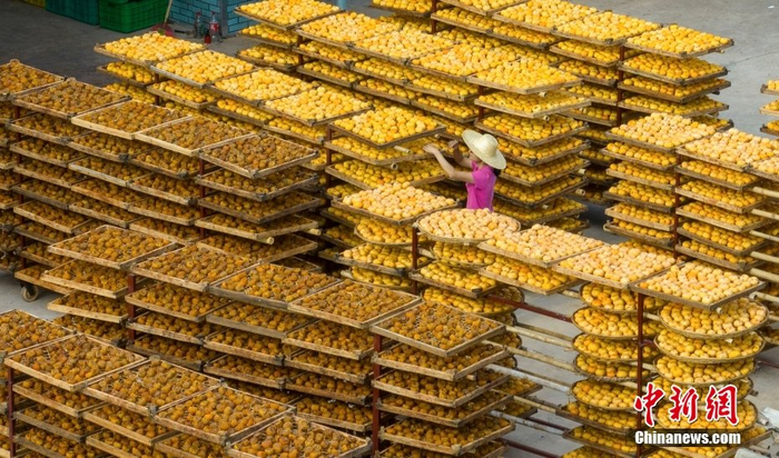 图/CNSphoto 何华文 摄