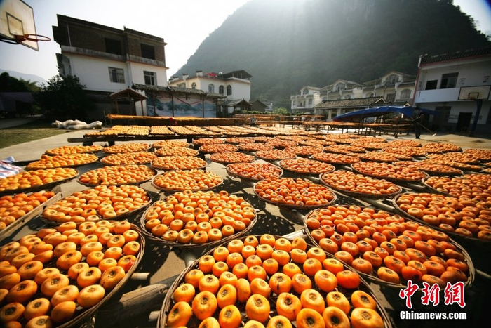 图/CNSphoto 郑智敏 摄