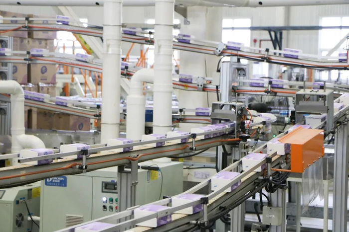 维达纸业（中国）有限公司厂房。