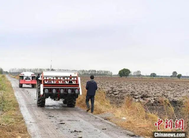 10月22日，河北雄安新区安新县端村镇关城二村一农田内，“鸿鹄T70”电动智能拖拉机准备进行秋播作业。中新社记者 韩冰 摄