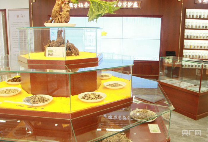 华亭中医药展览馆一角（央广网发  华亭市委宣传部供图）