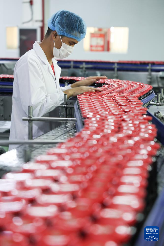   工作人员在老干妈生产线上整理货品（8月20日摄）。新华社记者 刘续 摄