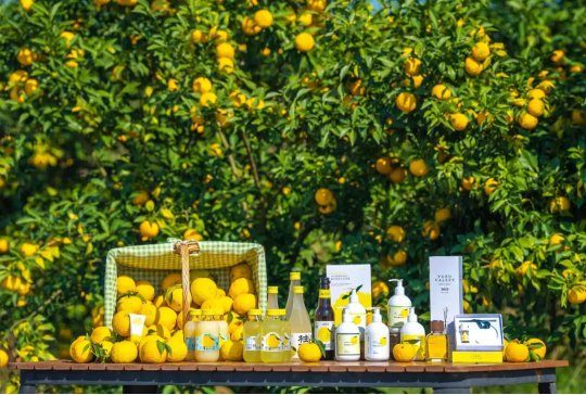 图片来源：柚香谷官网