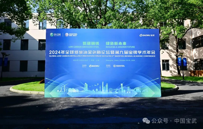 畅享“绿色低碳”新未来——2024年全球低碳冶金创新论坛暨第九届宝钢学术年会技术分会场侧记_手机新浪网