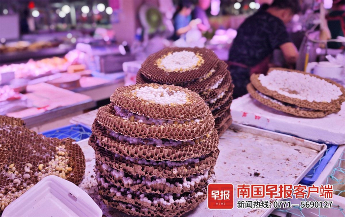 ▲摊位上一盘盘圆形饱满的蜂盘（巢）。