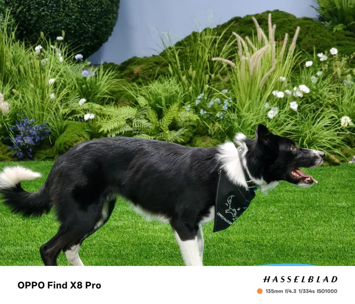 （图片来源：雷科技摄制）