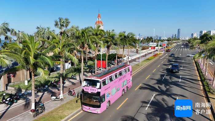 “老爸茶·海口巴士”抵达观海台。记者陈望 摄