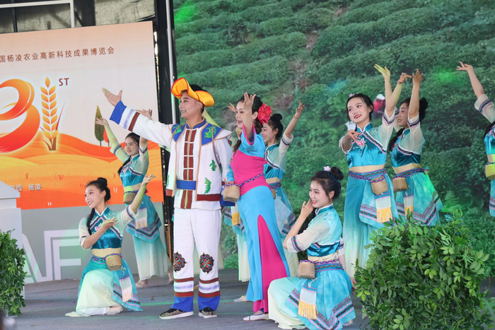 歌伴舞《汉滨最茶香》