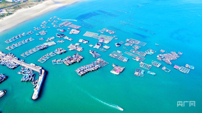 澳角村“海上牧场”风光美（央广网记者  龚雯  摄）