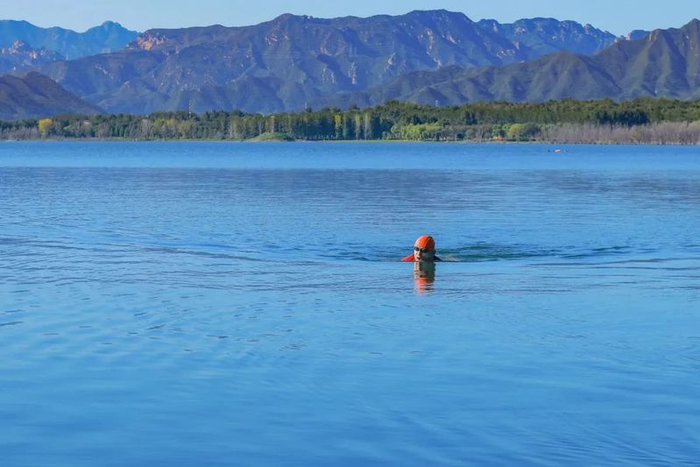 张朝阳横渡威海海湾