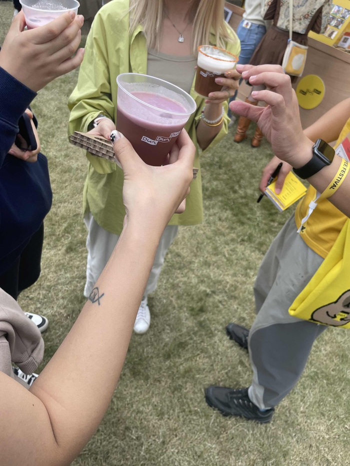 人们在草坪上碰杯