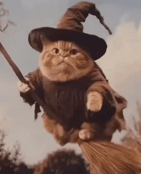 图源：X@venturetwins