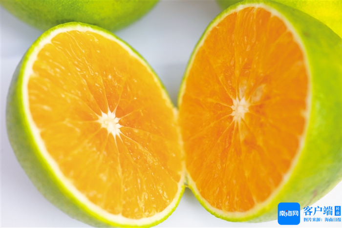琼中绿橙果肉饱满，汁水充盈。海南日报全媒体记者 李天平 摄