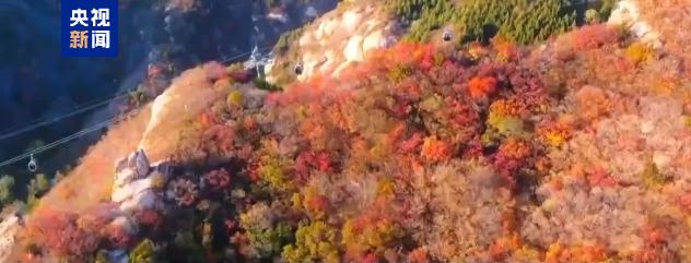 韩国将召开会议讨论股市抛售问题