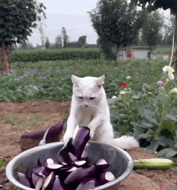 图源：Instagram@kimbingmei__