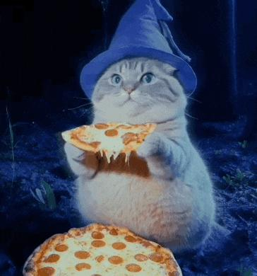 图源：Instagram@miyavlikedicikler