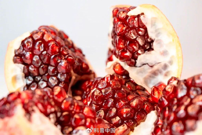 版权图库图片，转载使用可能涉及版权纠纷