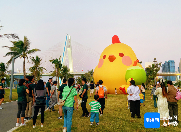 本月初在海口世纪公园亮相的“海南发财鸡”。记者 王子遥 摄