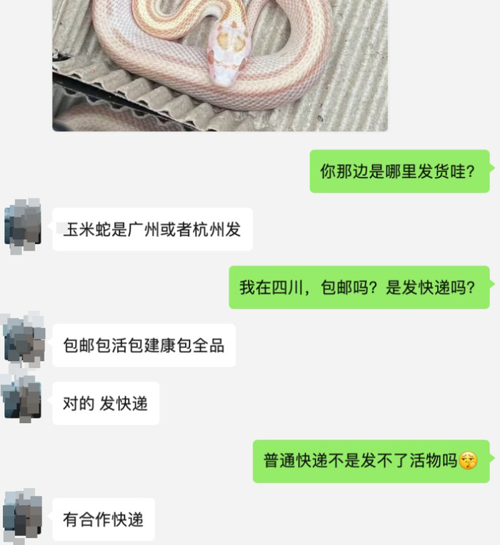 卖家表示可快递活体宠物