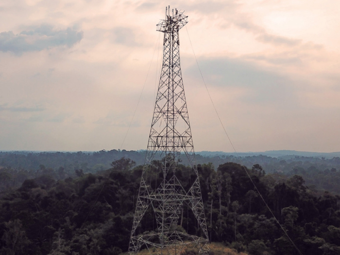 在亚马孙雨林地区中为减少森林植被砍伐量而加高的铁塔