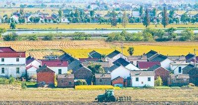 在江苏省兴化市陈堡镇里堡村田间，农民驾驶拖拉机进行耕地作业。周社根摄（新华社发）