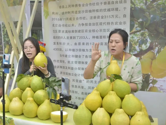 ▲活动现场在进行直播带“柚”。记者 莫淑媛 摄