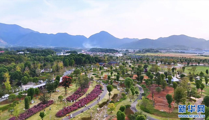   图为大冶金湖生态园。新华网发
