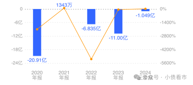 实现净利润情况